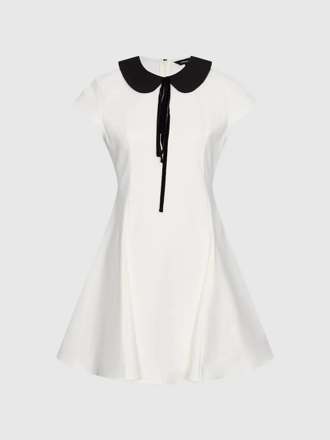 Contrast Collar Seamed Nipped Waist A-Line Midi Dress