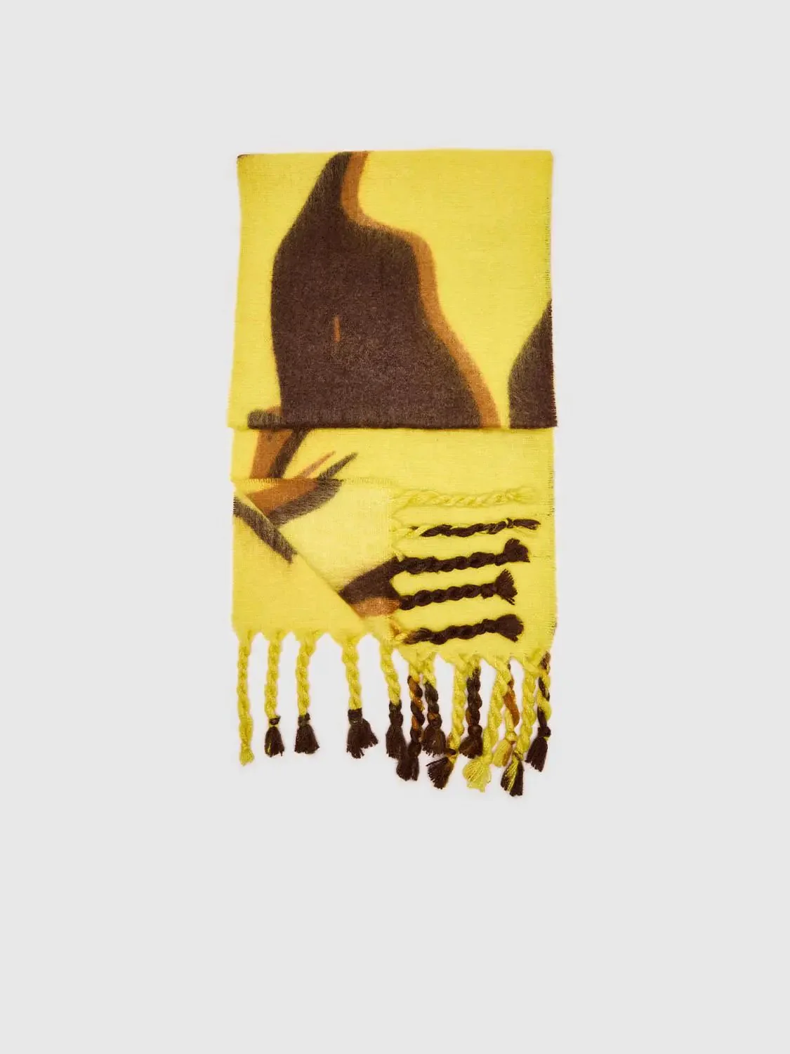 Intarsia Fringed Scarf
