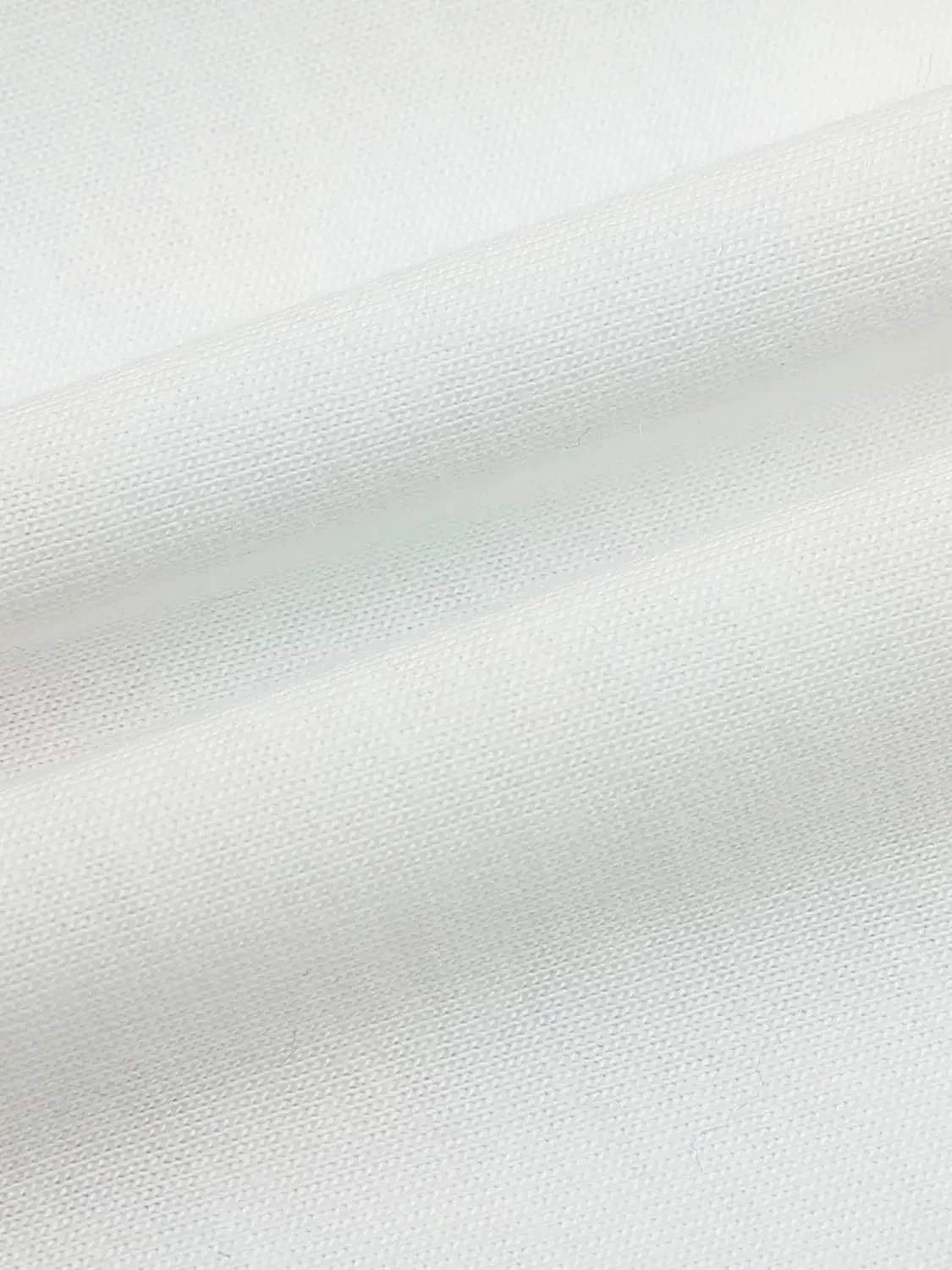 Cotton Graphic Print Palm Scene Soft T-Shirts