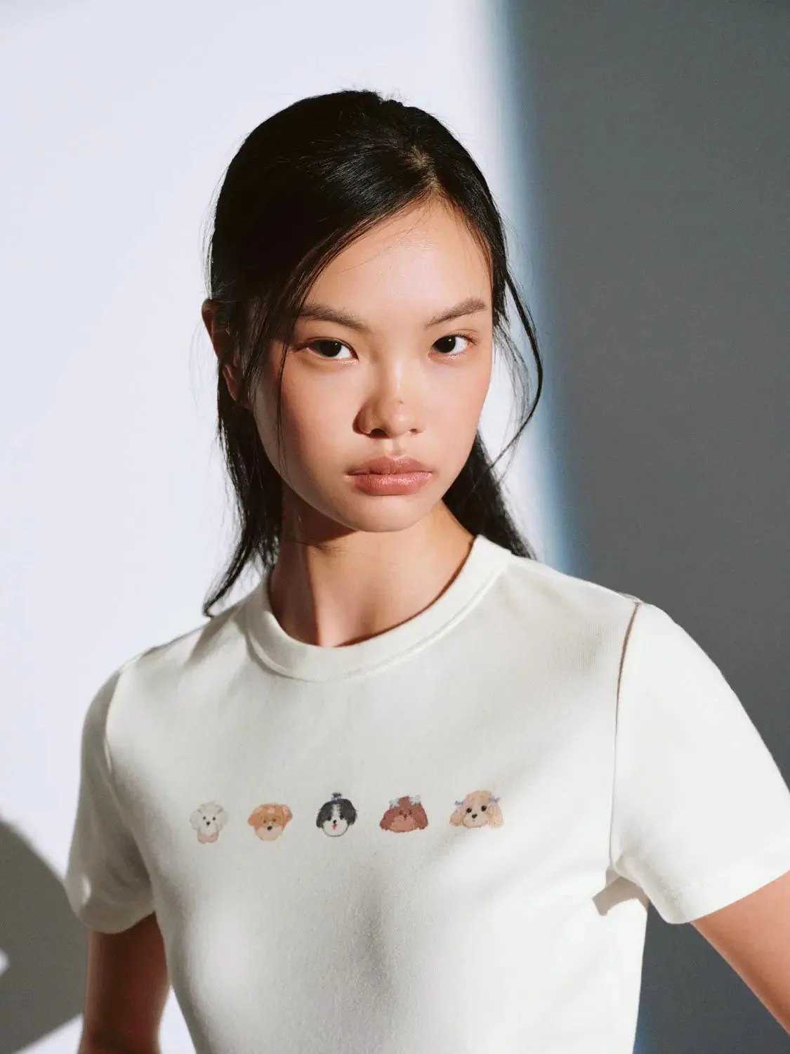 15339-cotton-blend-printed-bear-faces-t-shirts-3.webp Cotton Blend Printed Bear Faces T Shirts