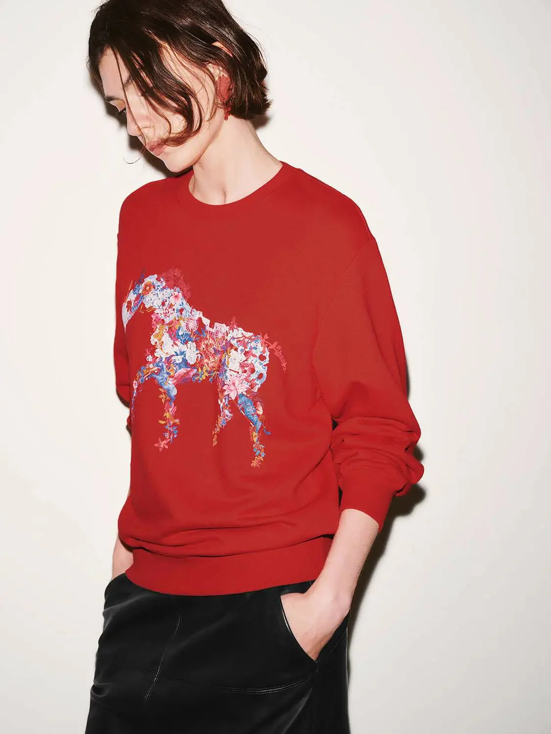 23510-cotton-modal-blend-horse-motif-crew-neck-sweatshirt-2.webp Cotton Modal Blend Horse Motif Crew Neck Sweatshirt